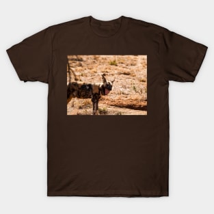 Wild dog T-Shirt